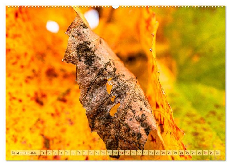 Produktbild: Farbenpr&auml;chtige Weinberge (Wandkalender 2026 DIN A2 quer), CALVENDO Monatskalender