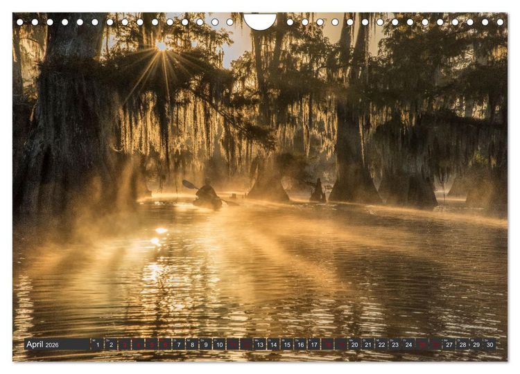 Produktbild: Natur Paradies Mississippi Delta (Wandkalender 2026 DIN A4 quer), CALVENDO Monatskalender