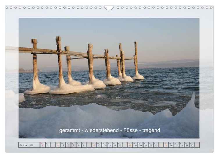 Produktbild: Entdeckend: Natur - Energie - Zufriedenheit (Wandkalender 2026 DIN A3 quer), CALVENDO Monatskalender