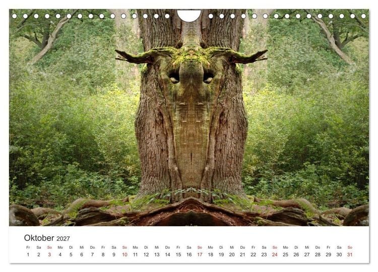 Produktbild: Spiegelwelten - Natur anders sehen (Wandkalender 2027 DIN A4 quer), CALVENDO Monatskalender