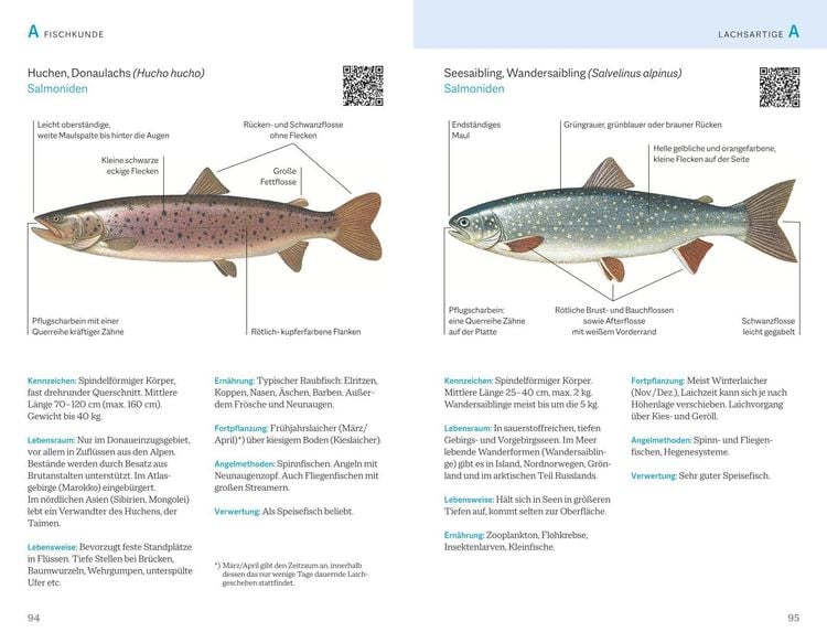Fischerprüfung