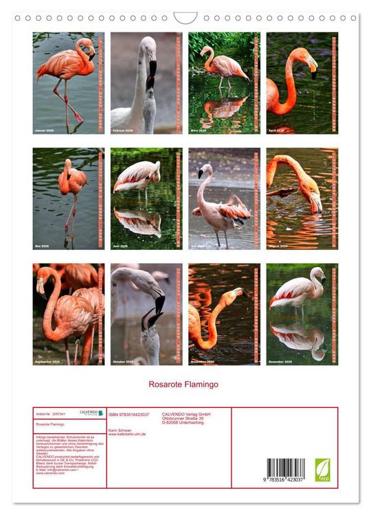 Produktbild: Rosarote Flamingo (Wandkalender 2026 DIN A3 hoch), CALVENDO Monatskalender