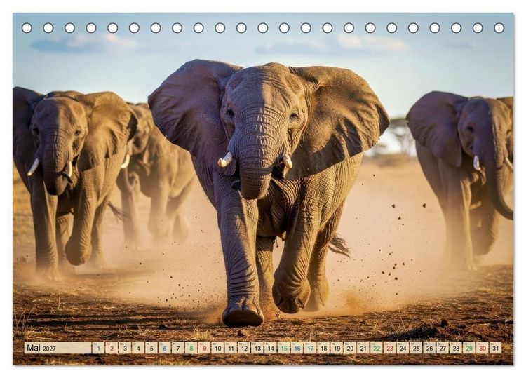 Produktbild: Gro&szlig;e und kleine Elefanten (Tischkalender 2027 DIN A5 quer), CALVENDO Monatskalender