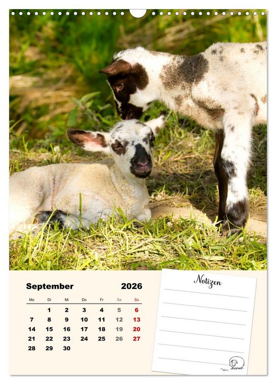 Produktbild: L&auml;mmergl&uuml;ck (Wandkalender 2026 DIN A3 hoch), CALVENDO Monatskalender