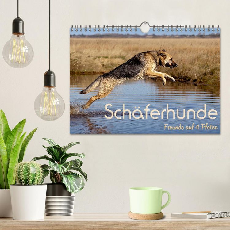 Produktbild: Sch&auml;ferhunde - Freunde auf 4 Pfoten (Wandkalender 2026 DIN A4 quer), CALVENDO Monatskalender
