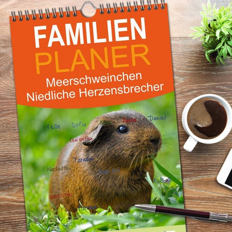 Produktbild: Familienplaner 2026 - Meerschweinchen Niedliche Herzensbrecher mit 5 Spalten (Wandkalender, 21 x 45 cm) CALVENDO