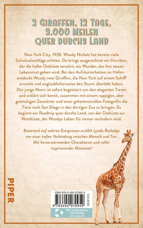 Produktbild: Sonnenaufgang mit Giraffen