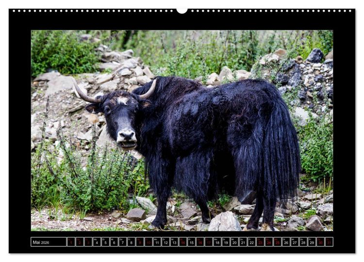 Produktbild: Eine Rundreise durch Tibet (hochwertiger Premium Wandkalender 2026 DIN A2 quer), Kunstdruck in Hochglanz