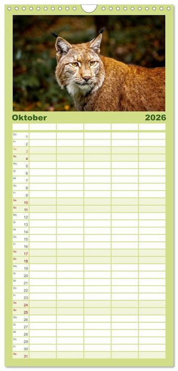 Produktbild: Familienplaner 2026 - Der Luchs - Begegnungen mit einer Raubkatze mit 5 Spalten (Wandkalender, 21 x 45 cm) CALVENDO