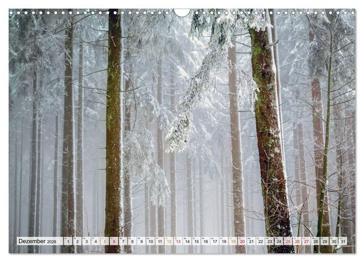 Produktbild: Wald - mystische Spazierg&auml;nge (Wandkalender 2026 DIN A3 quer), CALVENDO Monatskalender