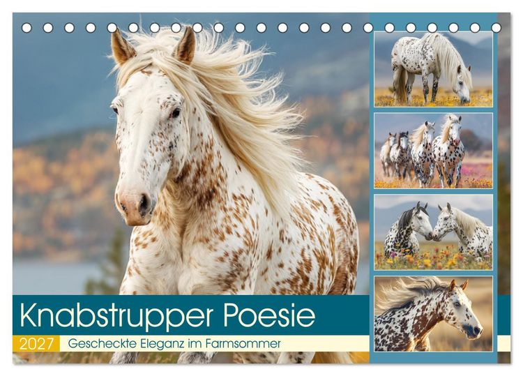 Produktbild: Knabstrupper Poesie. Gescheckte Eleganz im Farmsommer (Tischkalender 2027 DIN A5 quer), CALVENDO Monatskalender