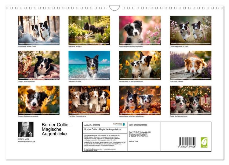 Produktbild: Border Collie - Magische Augenblicke (Wandkalender 2027 DIN A3 quer), CALVENDO Monatskalender