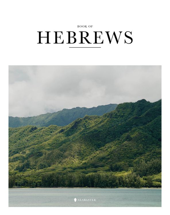 Produktbild: Book of Hebrews (Sc, Nlt)