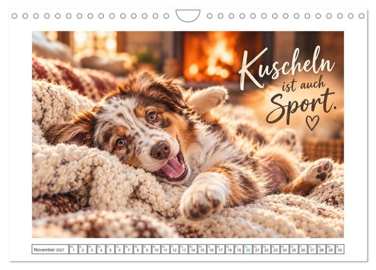 Produktbild: Zum Gl&uuml;ck gibt&rsquo;s Hunde (Wandkalender 2027 DIN A4 quer), CALVENDO Monatskalender