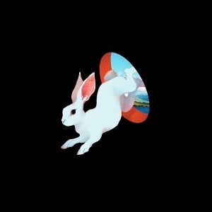 Produktbild: ANIMAL HOSPITAL (Future Blue Vinyl)