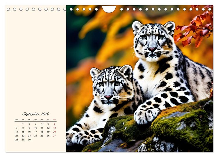 Produktbild: Im Reich der Schneeleoparden (Wandkalender 2026 DIN A4 quer), CALVENDO Monatskalender