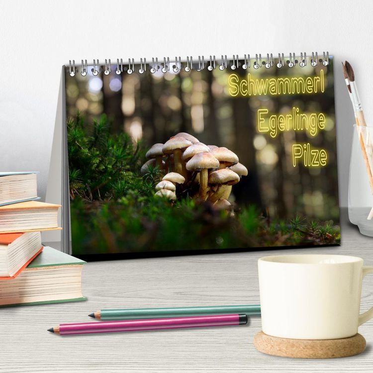 Produktbild: Schwammerl Egerlinge Pilze (Tischkalender 2026 DIN A5 quer), CALVENDO Monatskalender