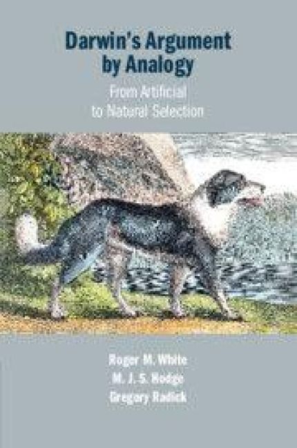 Produktbild: Darwin's Argument by Analogy