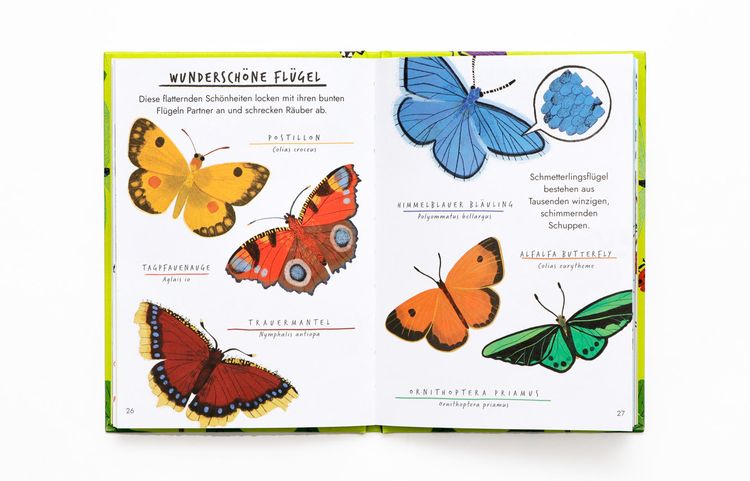 Produktbild: Hallo Insekten