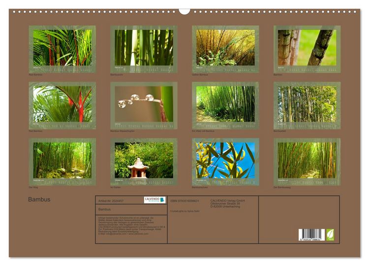 Produktbild: Bambus (Wandkalender 2026 DIN A2 quer), CALVENDO Monatskalender