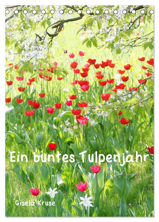 Produktbild: Ein buntes Tulpenjahr (Tischkalender 2026 DIN A5 hoch), CALVENDO Monatskalender