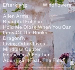 Produktbild: Windflowers