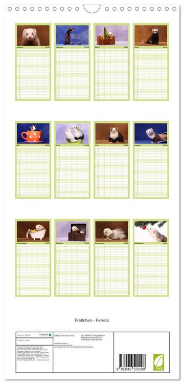 Produktbild: Familienplaner 2026 - Frettchen - Ferrets mit 5 Spalten (Wandkalender, 21 x 45 cm) CALVENDO