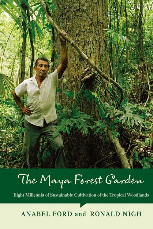 Produktbild: The Maya Forest Garden