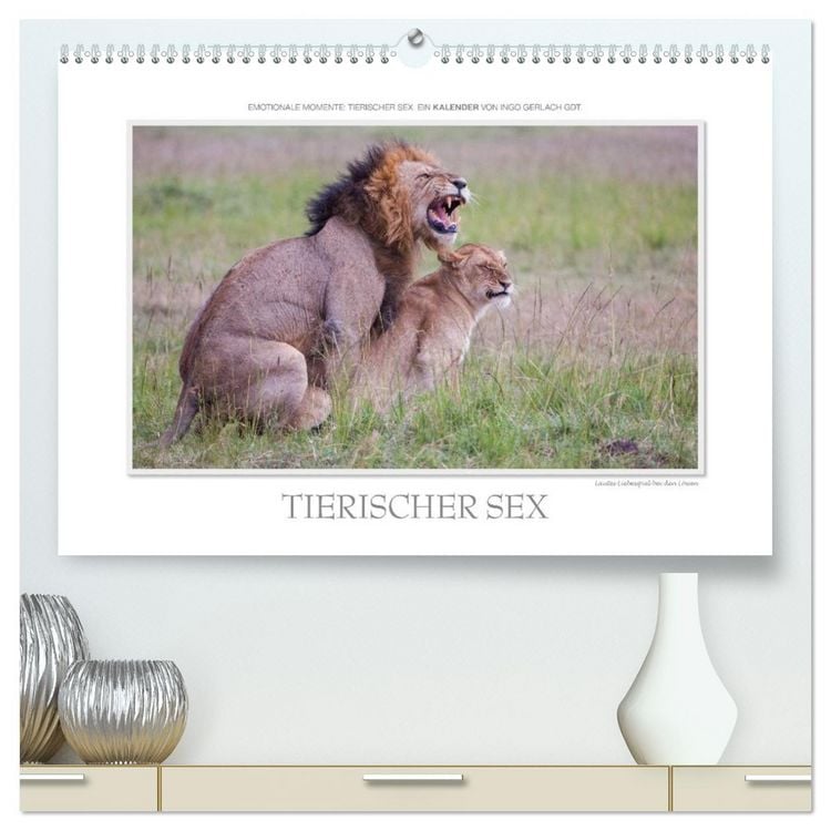 Produktbild: Emotionale Momente: Tierischer Sex. (hochwertiger Premium Wandkalender 2026 DIN A2 quer), Kunstdruck in Hochglanz