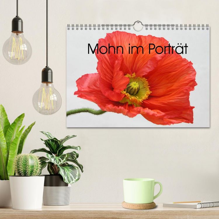 Produktbild: Mohn im Portr&auml;t (Wandkalender 2026 DIN A4 quer), CALVENDO Monatskalender