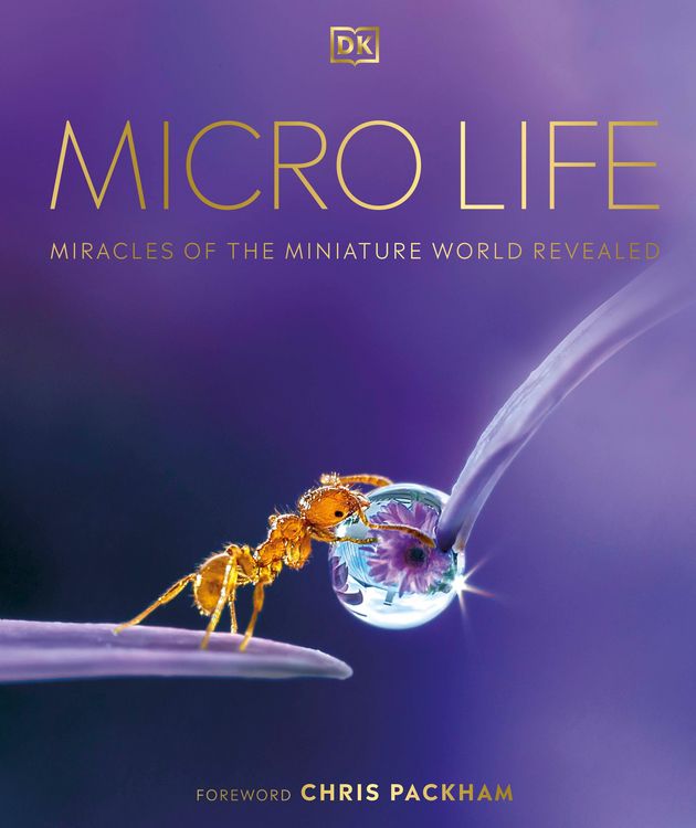 Produktbild: Micro Life