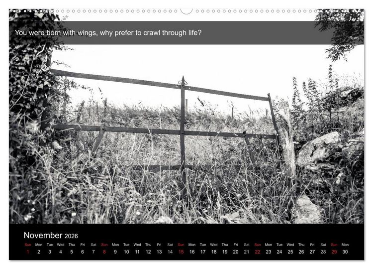 Produktbild: Through the Gate with Rumi (High Quality Premium Wall Calendar 2026 DIN A2 landscape),CALVENDO 12 Month Wall Calendar