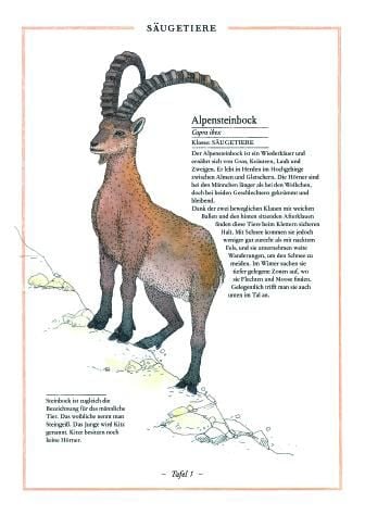 Produktbild: Steinbock, Adler, Edelwei&szlig;