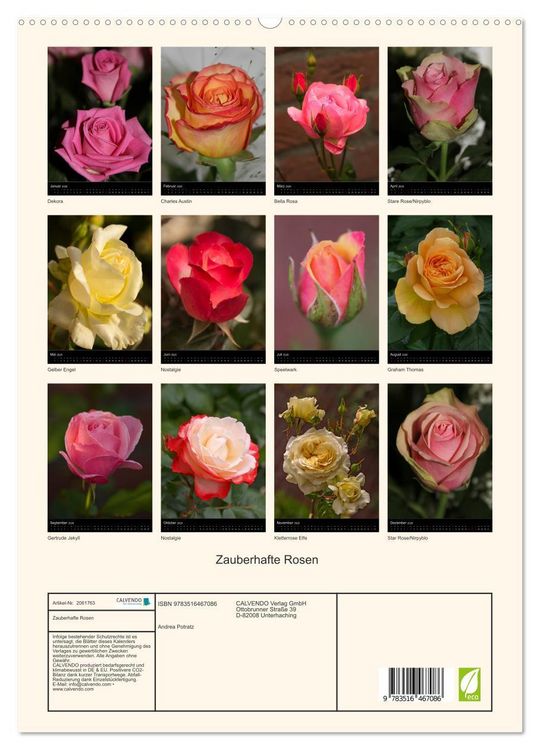 Produktbild: Zauberhafte Rosen (hochwertiger Premium Wandkalender 2026 DIN A2 hoch), Kunstdruck in Hochglanz