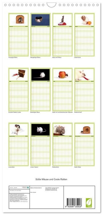 Produktbild: Familienplaner 2027 - S&uuml;&szlig;e M&auml;use und Coole Ratten mit 5 Spalten (Wandkalender, 21 x 45 cm) CALVENDO