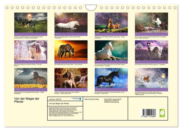Produktbild: Von der Magie der Pferde (Wandkalender 2026 DIN A4 quer), CALVENDO Monatskalender