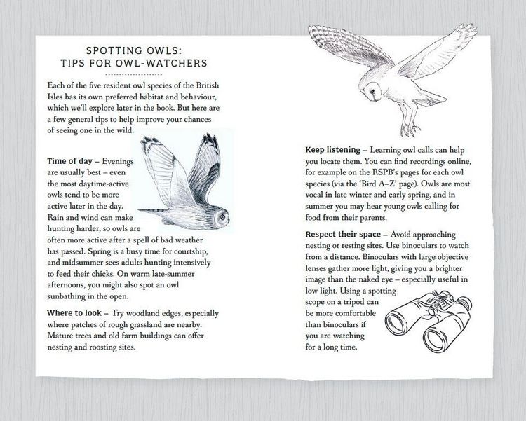 Produktbild: RSPB Pocket Book of Owls