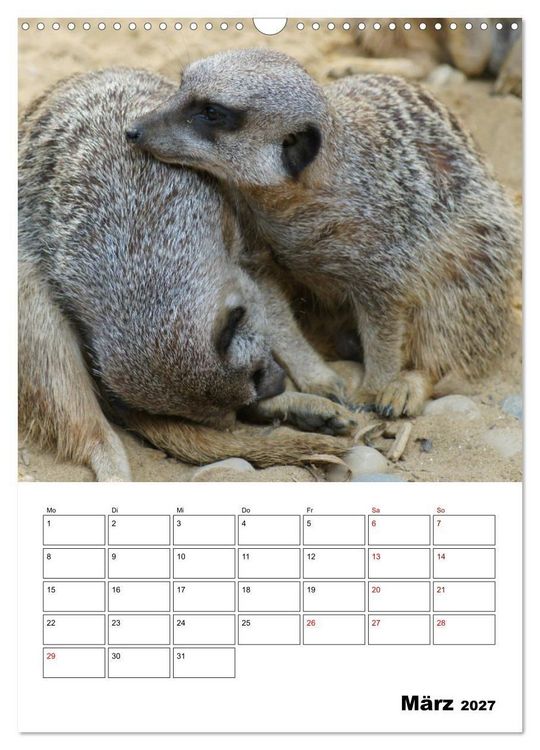 Produktbild: Niedliche Erdm&auml;nnchen (Wandkalender 2027 DIN A3 hoch), CALVENDO Monatskalender