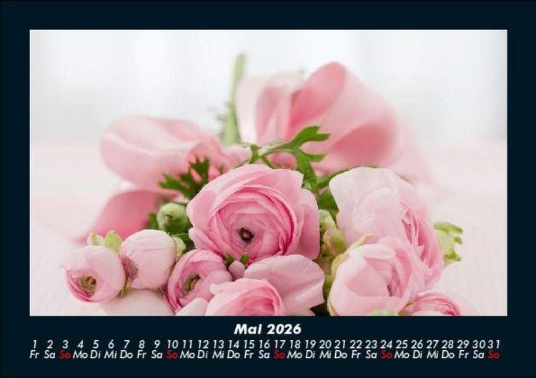 Produktbild: Rosen-Kalender 2026 Fotokalender DIN A5