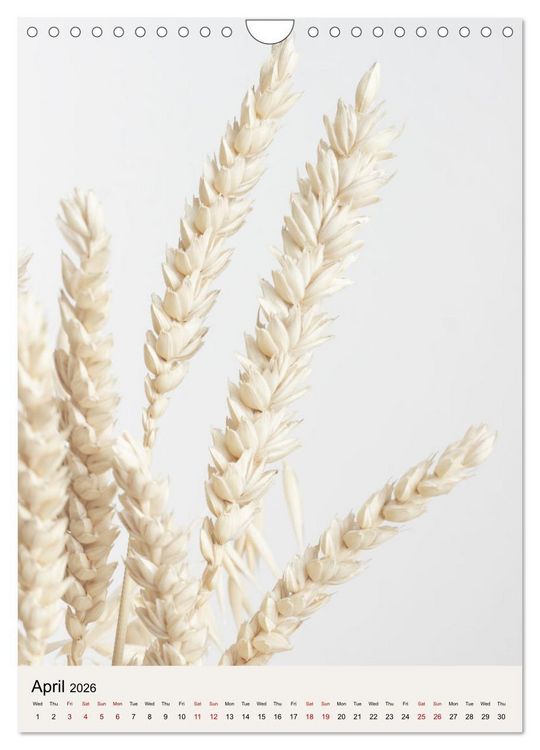 Produktbild: Dried Flowers (Wall Calendar 2026 DIN A4 portrait), CALVENDO 12 Month Wall Calendar