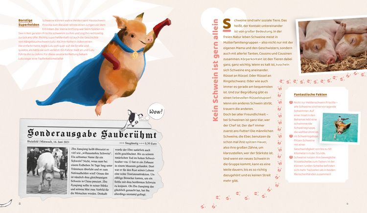 Produktbild: Schlau wie Sau