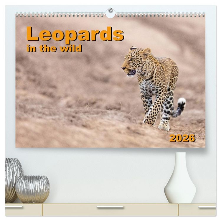 Produktbild: Leopards in the wild (High Quality Premium Wall Calendar 2026 DIN A2 landscape),CALVENDO 12 Month Wall Calendar