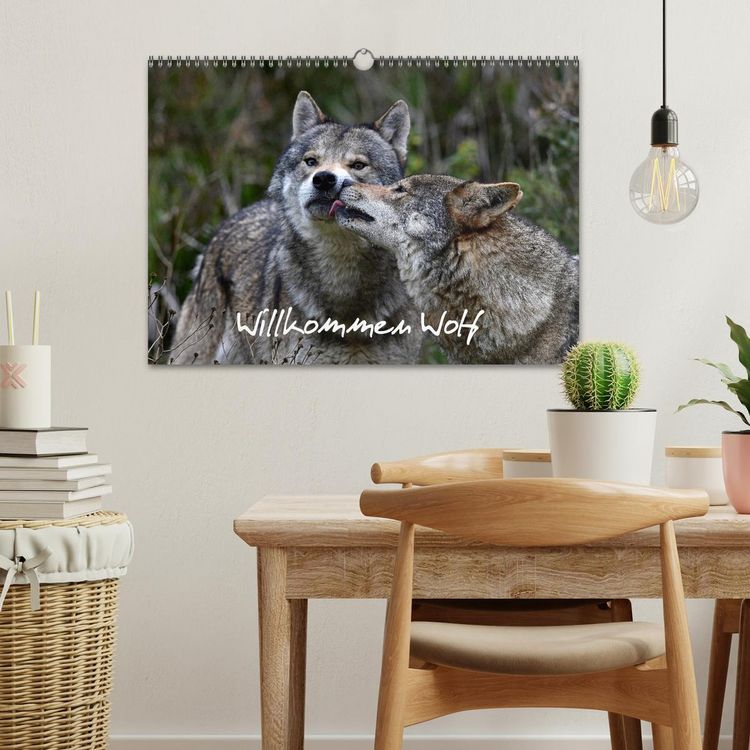 Produktbild: Willkommen Wolf (Wandkalender 2026 DIN A3 quer), CALVENDO Monatskalender
