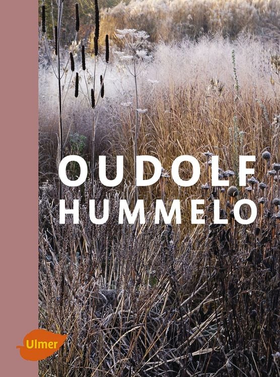 Produktbild: Oudolf Hummelo