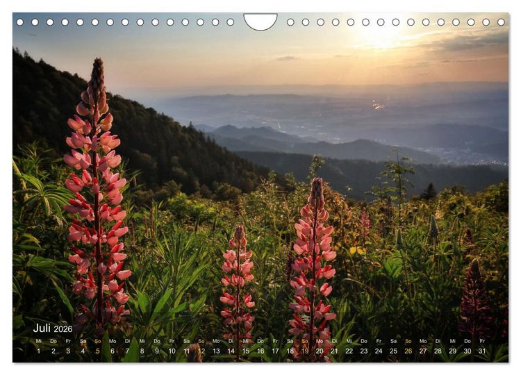 Produktbild: Faszination Schwarzwald (Wandkalender 2026 DIN A4 quer), CALVENDO Monatskalender