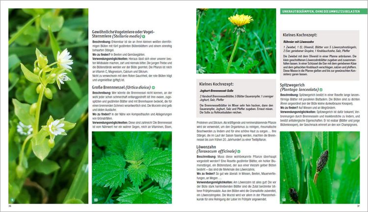 Giftfrei grtnern. Die besten Methoden und Tipps fr einen naturnahen  Garten ohne Chemie. Natrliche Pflanzenschutzmittel und Dnger selbst  herstellen" online kaufen