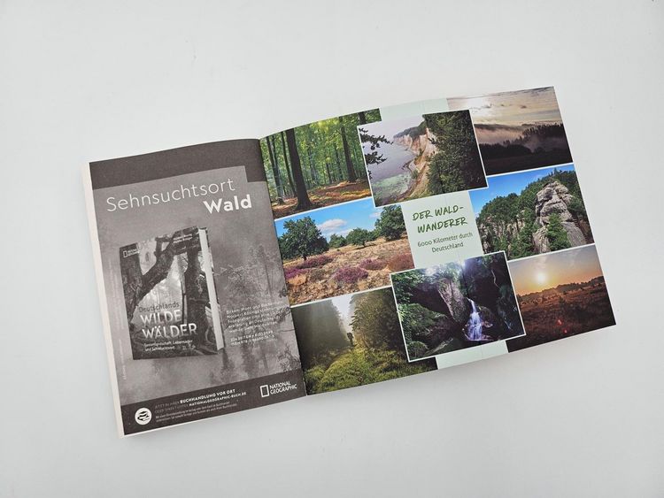 Produktbild: Der Waldwanderer