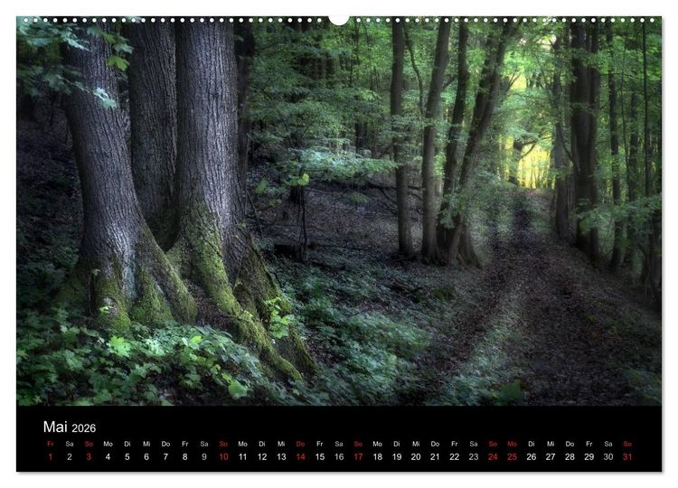 Produktbild: Waldkalender (Wandkalender 2026 DIN A2 quer), CALVENDO Monatskalender