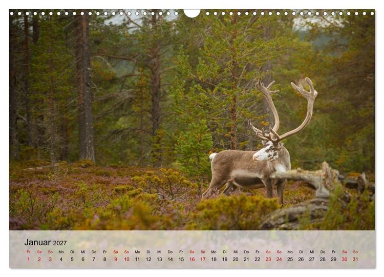 Produktbild: Magische Tiermomente (Wandkalender 2027 DIN A3 quer), CALVENDO Monatskalender
