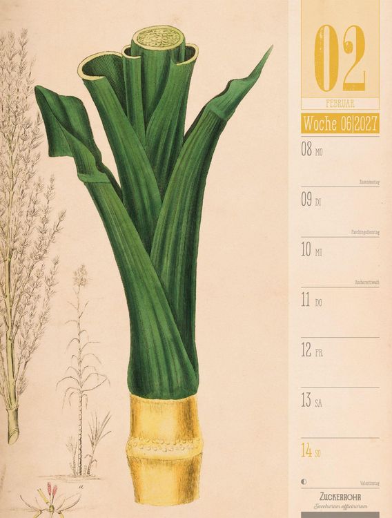Produktbild: Culinarium Wochenplaner Kalender 2027 | K&uuml;che, Kr&auml;uter, Kurioses